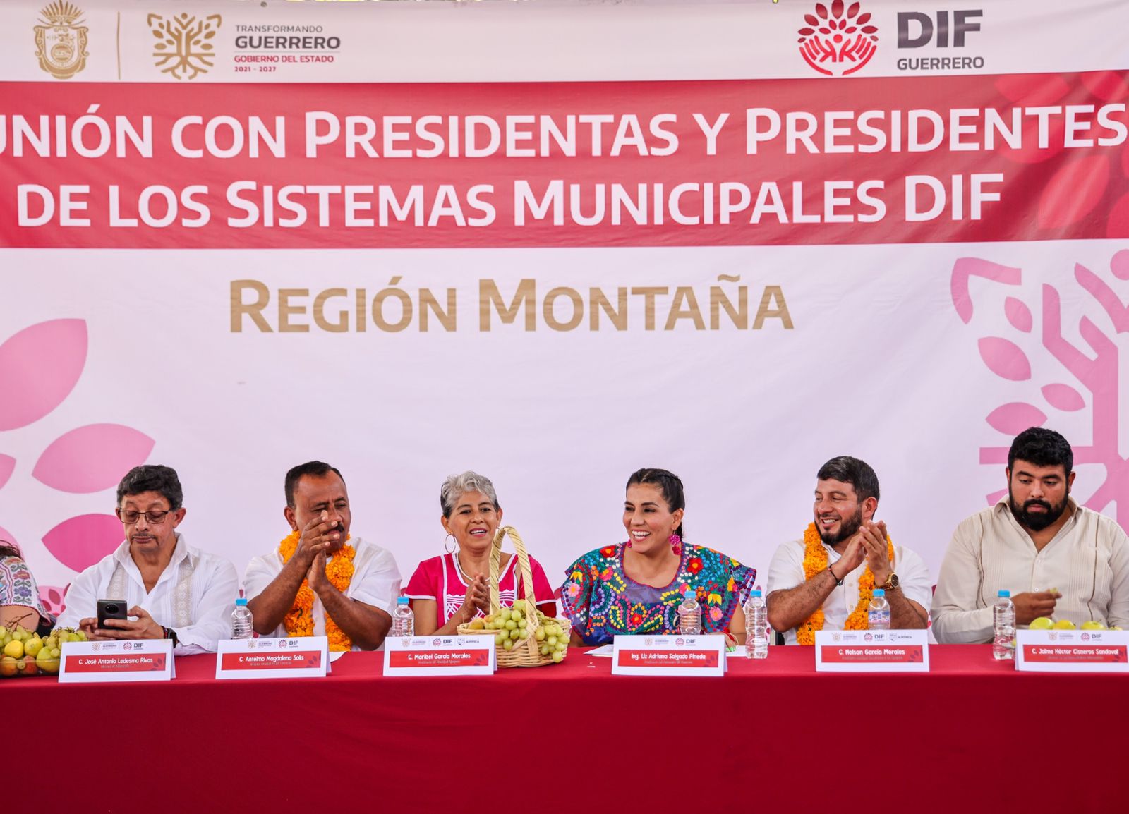 Fortaleceremos los programas sociales para atender a más familias de la Montaña: Liz Salgado Pineda