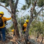 Más de mil elementos de SEDENA y Marina, Protección Civil Estatal, Conafor y voluntarios coadyuvan en el combate de incendios forestales en Acapulco