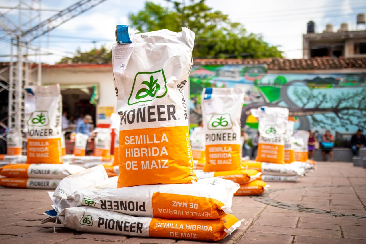 Sagadegro entrega semilla mejorada de maíz en General Heliodoro Castillo